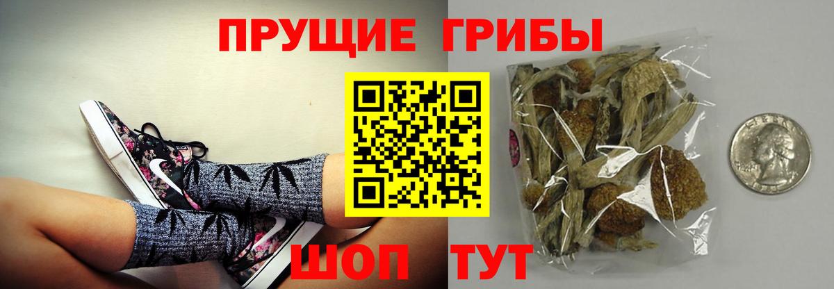 Псилоцибиновые грибы прущие грибы Аксай