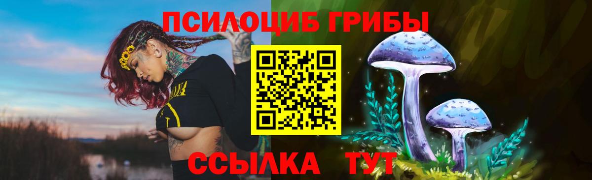 Аксай  Галлюциногенные грибы MAGIC MUSHROOMS  Вход с VPN 